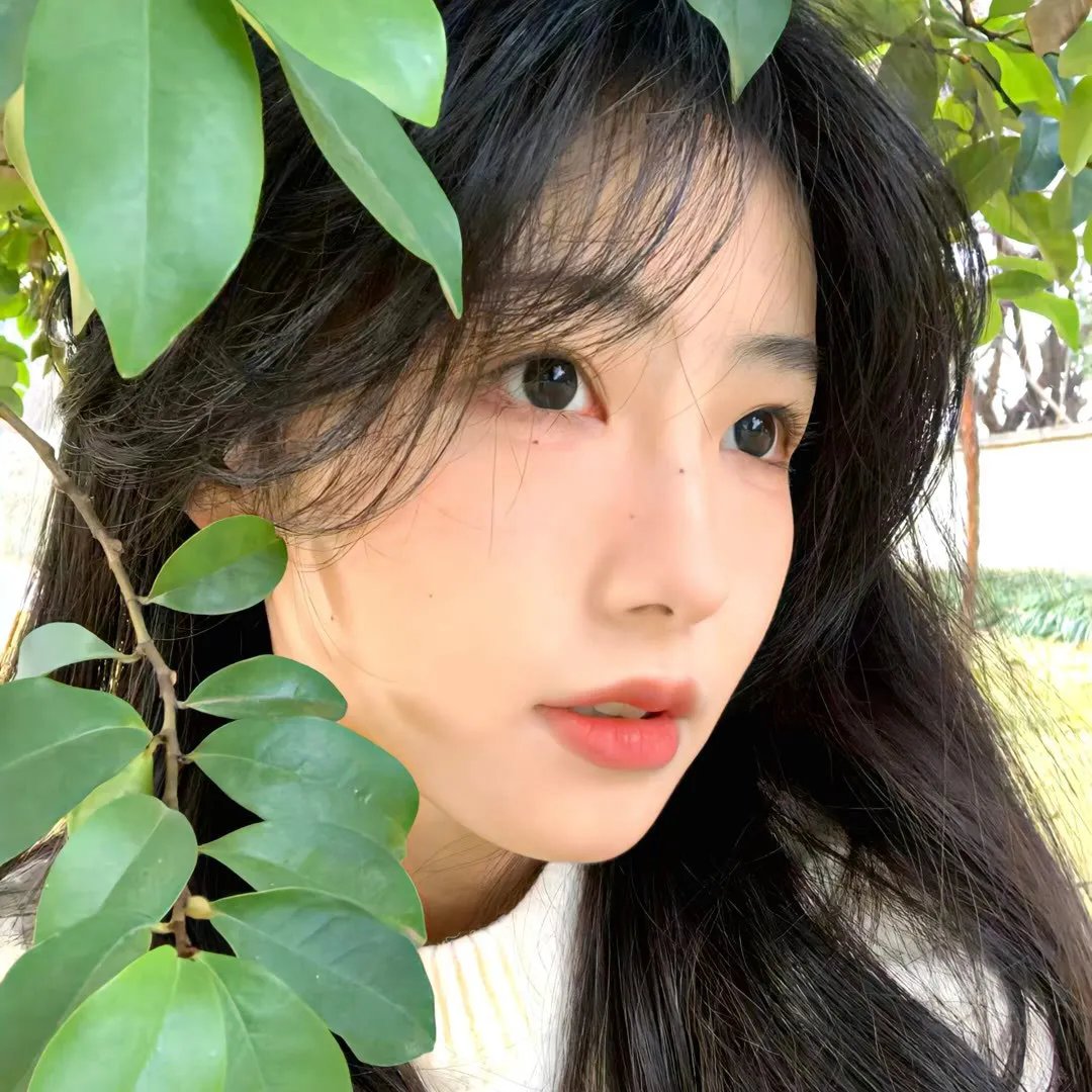 玻璃花与毁坏的世界