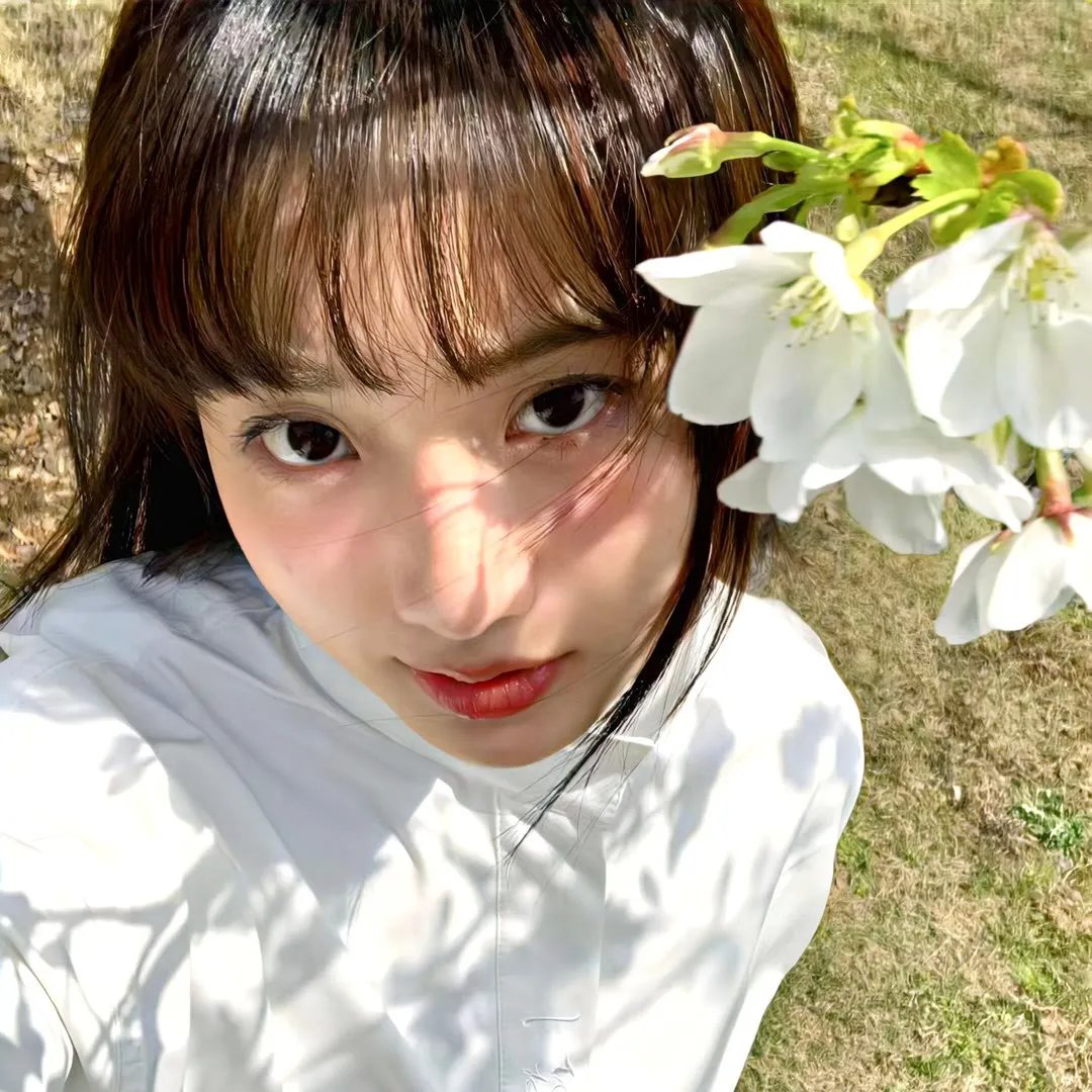 秋田犬蓬夫